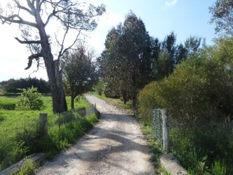 225 Favell Road, ORANGE, NSW, Orange - Image 1