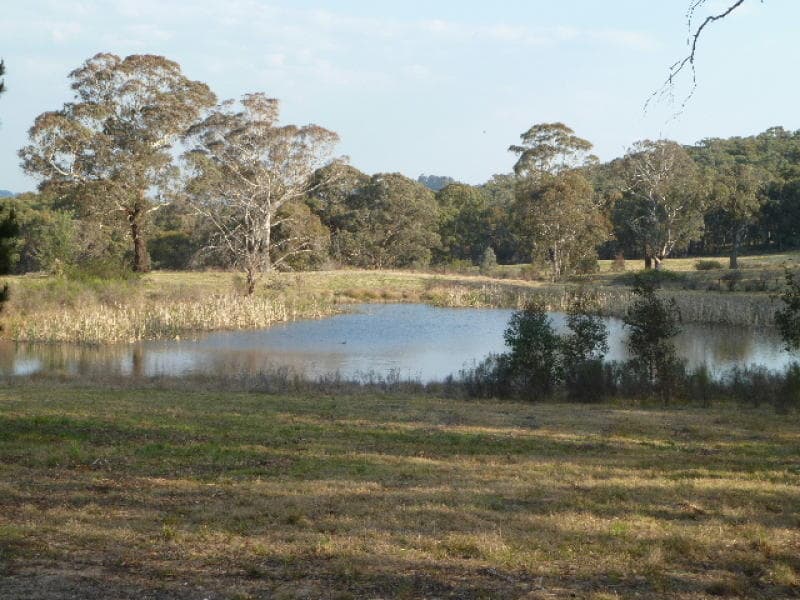237  Cullya Road -, ORANGE, NSW, Orange - Image 1