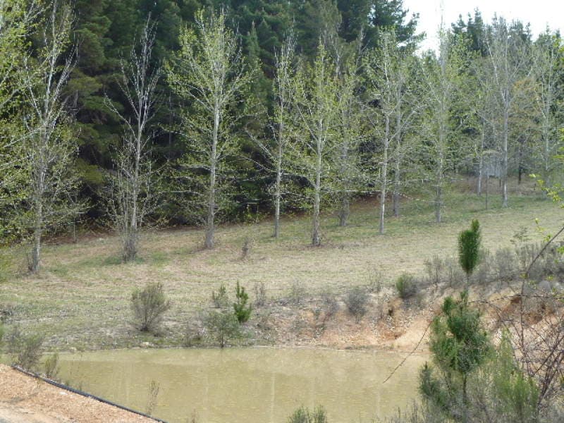 237  Cullya Road -, ORANGE, NSW, Orange - Thumbnail 4