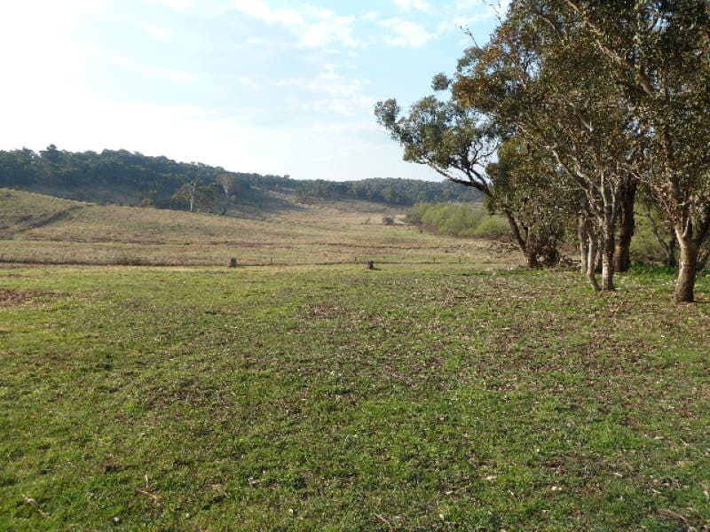237  Cullya Road -, ORANGE, NSW, Orange - Thumbnail 5