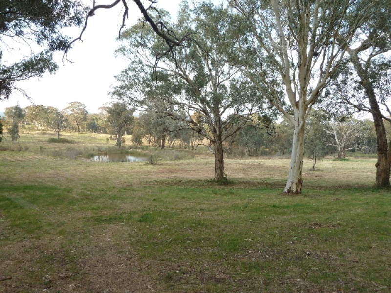 237  Cullya Road -, ORANGE, NSW, Orange - Thumbnail 6