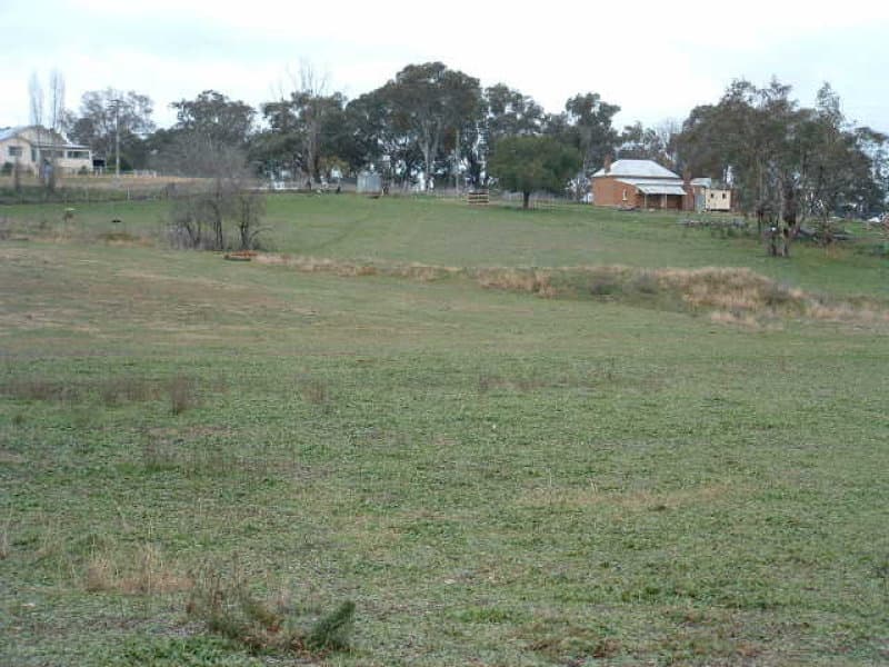 77 Banjo Paterson Way, MOLONG, NSW, Molong - Thumbnail 5