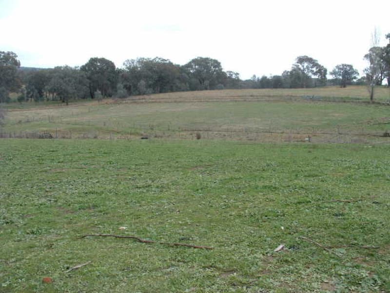 77 Banjo Paterson Way, MOLONG, NSW, Molong - Thumbnail 6