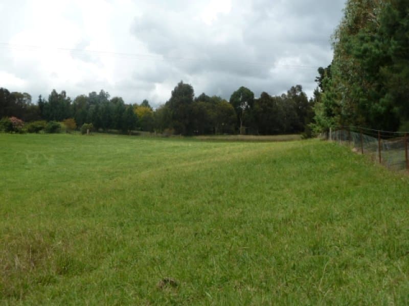 45 Murphy Lane, ORANGE, NSW, Orange - Thumbnail 4
