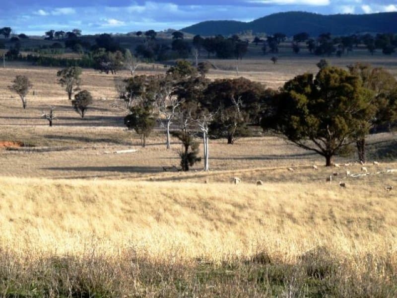 * Burrendong Way Euchareena Via, ORANGE, NSW, Orange - Thumbnail 2