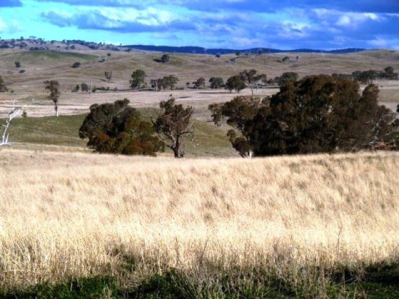 * Burrendong Way Euchareena Via, ORANGE, NSW, Orange - Thumbnail 4