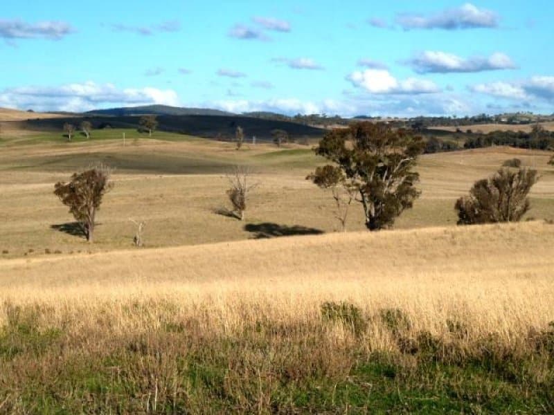 * Burrendong Way Euchareena Via, ORANGE, NSW, Orange - Thumbnail 6