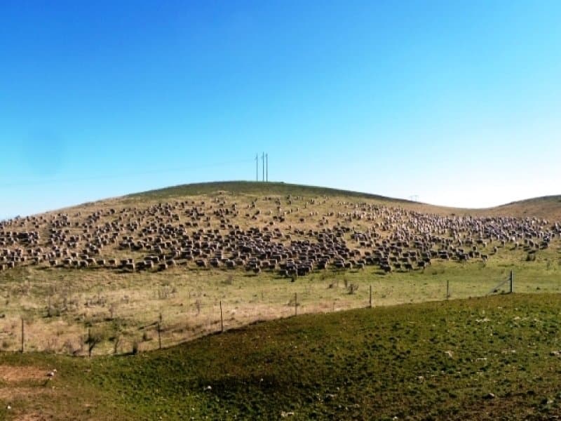 * Burrendong Way, EUCHAREENA, NSW, Euchareena - Thumbnail 2