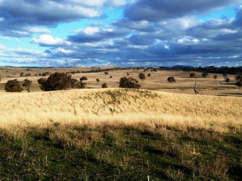 * Burrendong Way, EUCHAREENA, NSW, Euchareena - Thumbnail 4