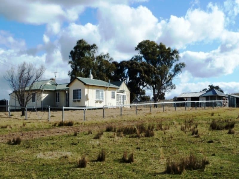 * 171 Shepherds Creek Road, EUCHAREENA, NSW, Euchareena - Image 1