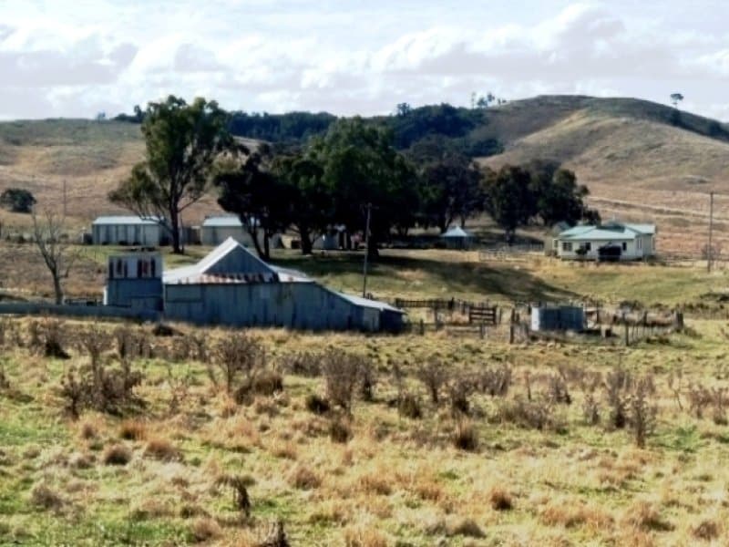 * 171 Shepherds Creek Road, EUCHAREENA, NSW, Euchareena - Thumbnail 2