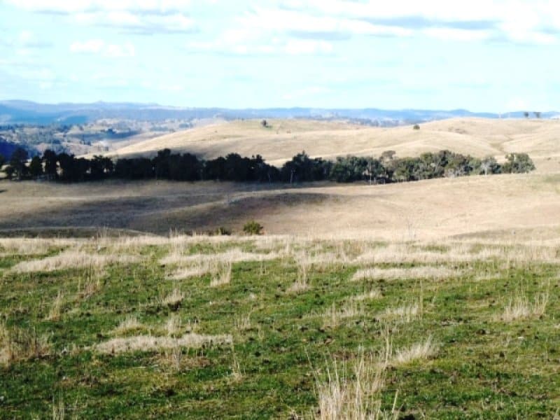* 171 Shepherds Creek Road, EUCHAREENA, NSW, Euchareena - Thumbnail 4