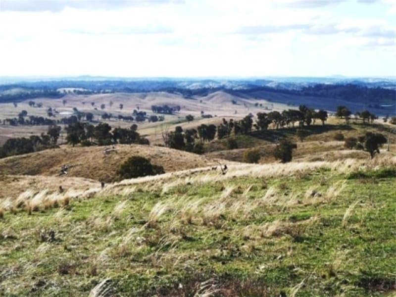 * 171 Shepherds Creek Rd, EUCHAREENA, NSW, Euchareena - Image 1