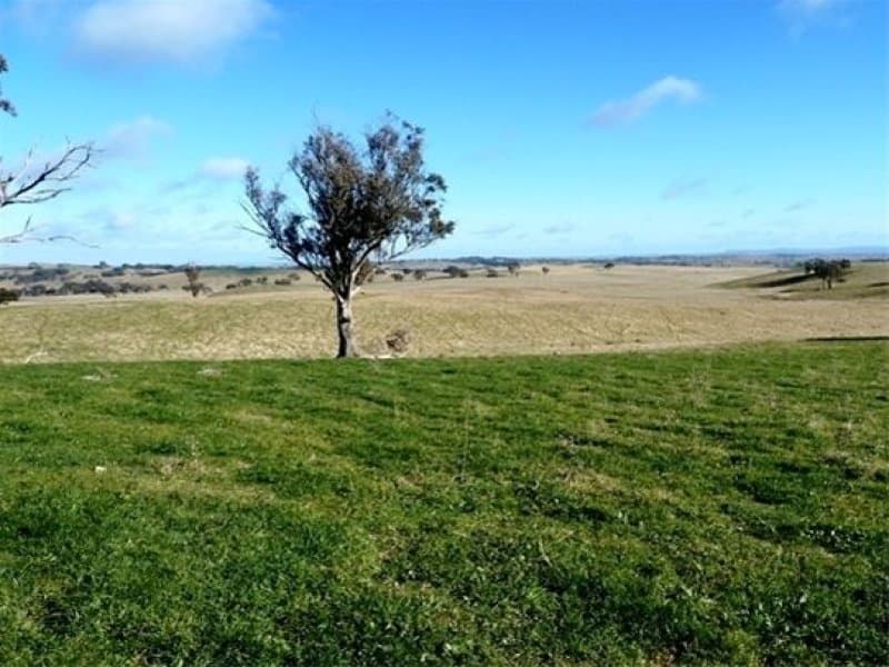 * Burrendong Way, EUCHAREENA, NSW, Euchareena - Thumbnail 4