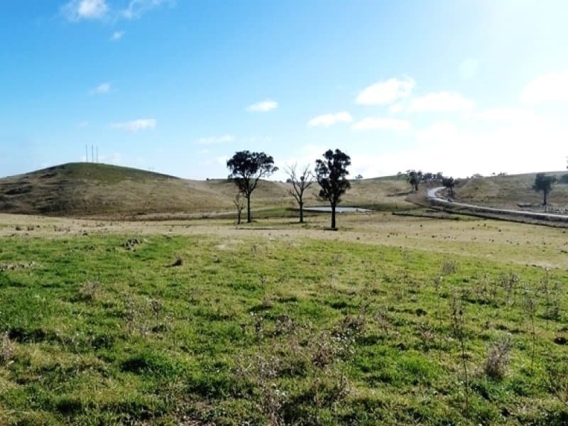* Burrendong Way, EUCHAREENA, NSW, Euchareena - Thumbnail 6