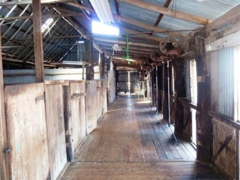 * Burrendong Way,  Euchareena,  via, ORANGE, NSW, Euchareena - Thumbnail 3