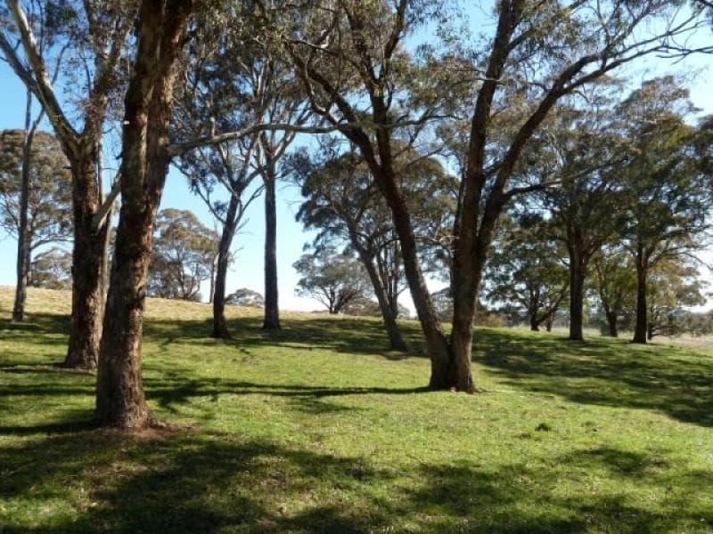 Lot 3 Reyfield Drive, ORANGE, NSW, Orange - Thumbnail 4