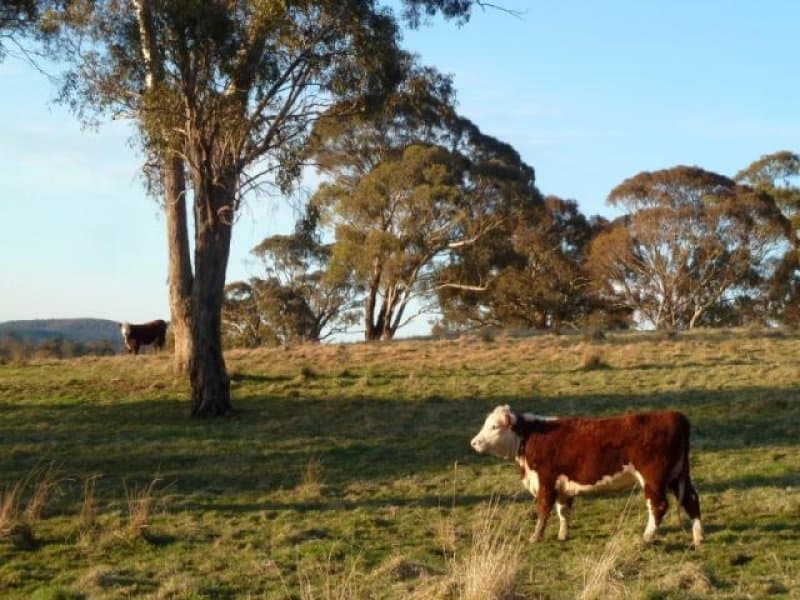 Lot 3 Reyfield Drive, ORANGE, NSW, Orange - Thumbnail 5