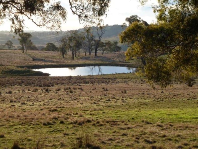 Lot 3 Reyfield Drive, ORANGE, NSW, Orange - Thumbnail 6