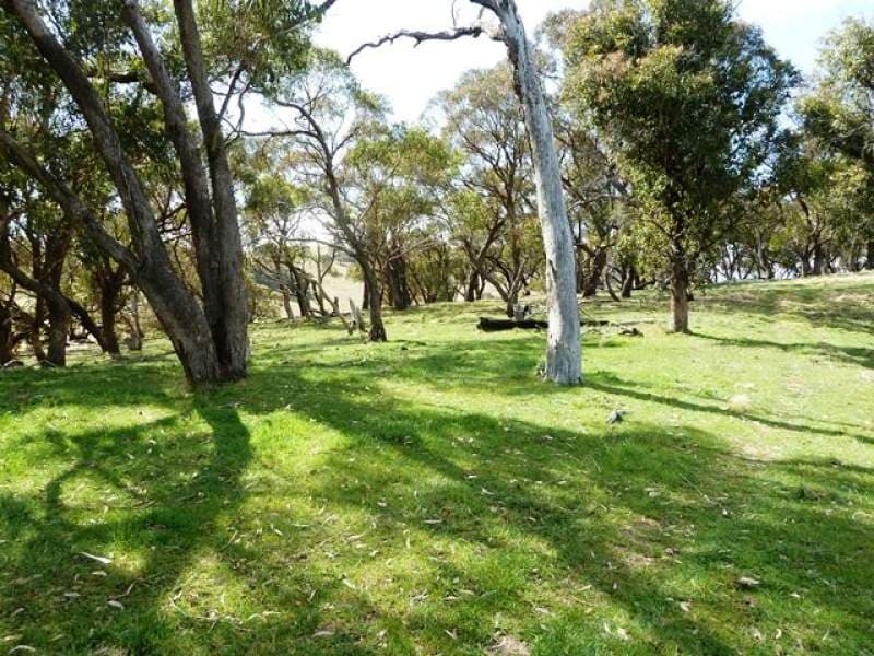 Lot 2,  660 Icely Road, ORANGE, NSW, Orange - Thumbnail 4