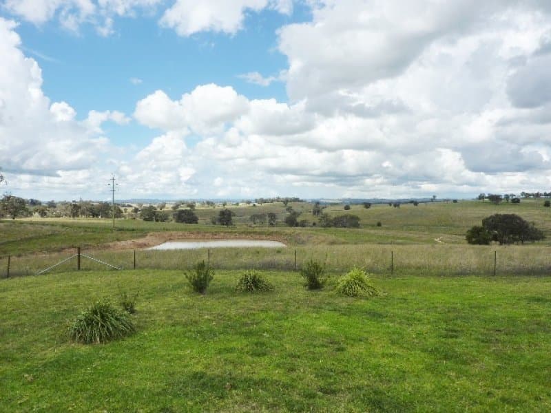 1321 Peabody Road, MOLONG, NSW, Molong - Thumbnail 3