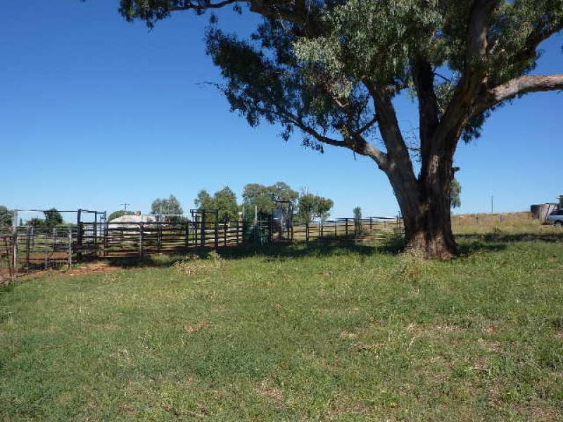 Molong, MOLONG, NSW, Molong - Thumbnail 4