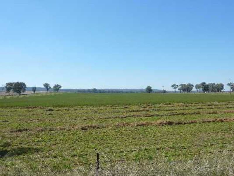 Molong, MOLONG, NSW, Molong - Thumbnail 5