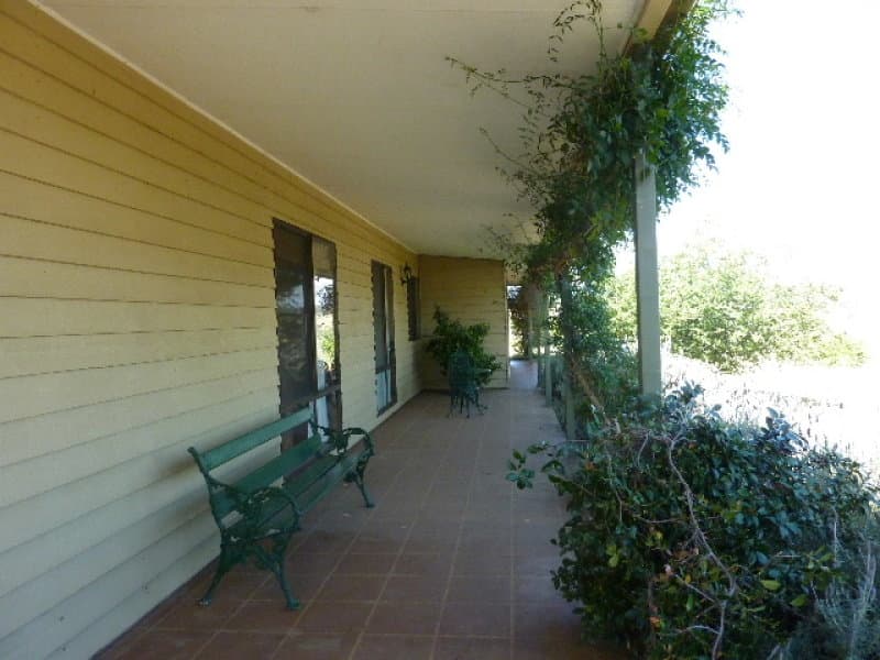 214 Livermore Lane, MOLONG, NSW, Molong - Thumbnail 4