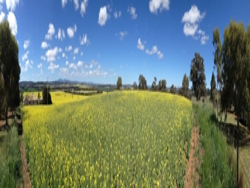 214 Livermore Lane, MOLONG, NSW, Molong - Thumbnail 6