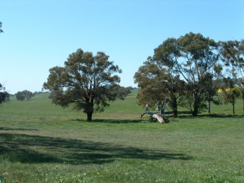 Orange, ORANGE, NSW, Orange - Thumbnail 2