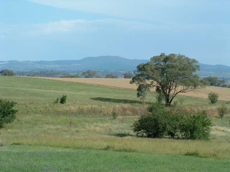 Lot 103 Molong, ORANGE, NSW, Orange - Thumbnail 5