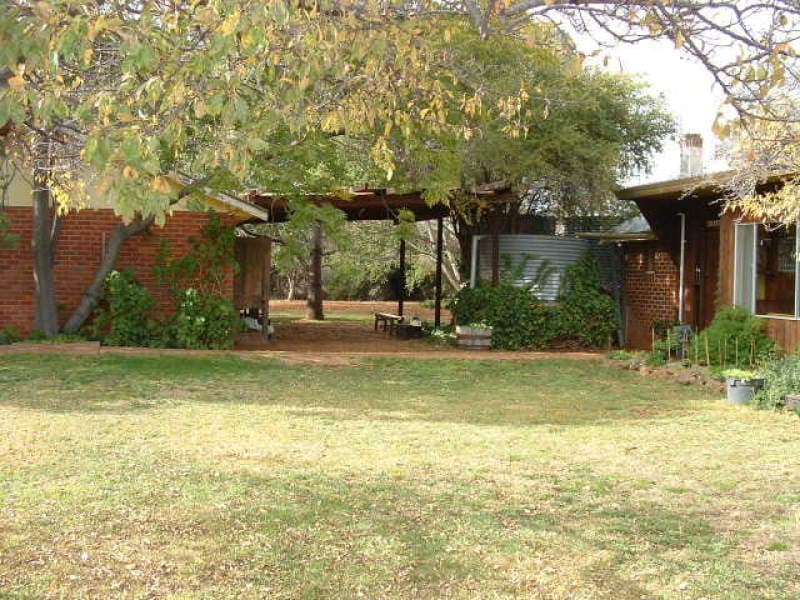 2474 Mitchell Highway, MOLONG, NSW, Molong - Thumbnail 4