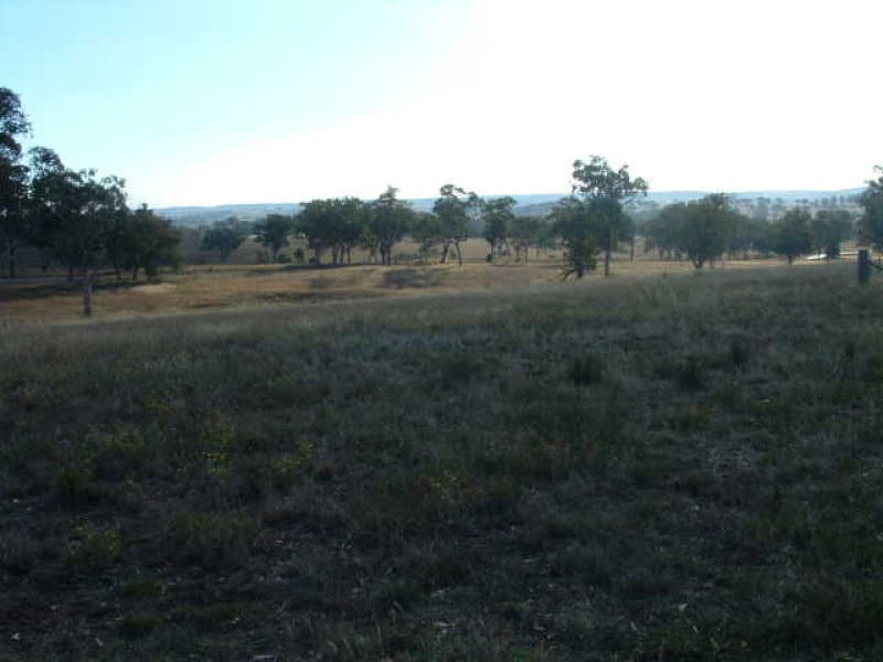 2474 Mitchell Highway, MOLONG, NSW, Molong - Thumbnail 6