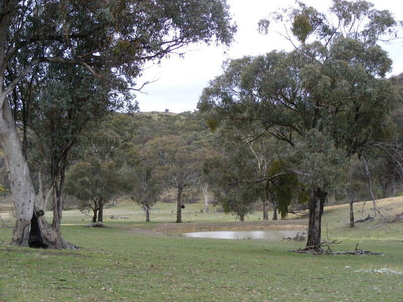 * Belgravia Road,  Belgravia, ORANGE, NSW, Belgravia - Thumbnail 2