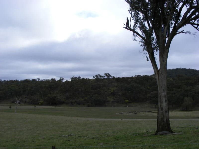 * Belgravia Road,  Belgravia, ORANGE, NSW, Belgravia - Thumbnail 6