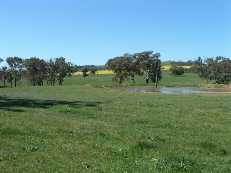 Orange, NSW, Orange - Image 1