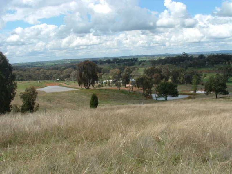 * Packham Drive, MOLONG, NSW, Molong - Thumbnail 2