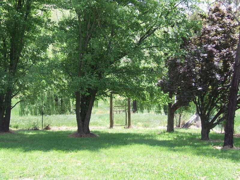 83 Lewis Ponds, ORANGE, NSW, Orange - Thumbnail 7