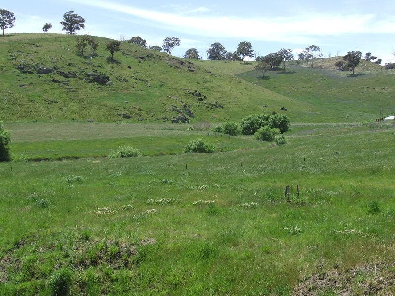 83 Lewis Ponds, ORANGE, NSW, Orange - Thumbnail 8