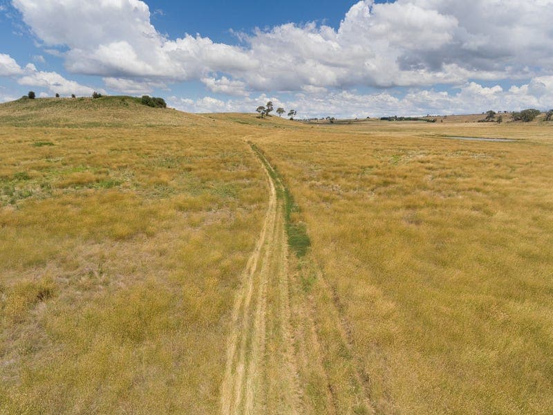4397 Mitchell Highway, ORANGE, NSW, Orange - Thumbnail 7