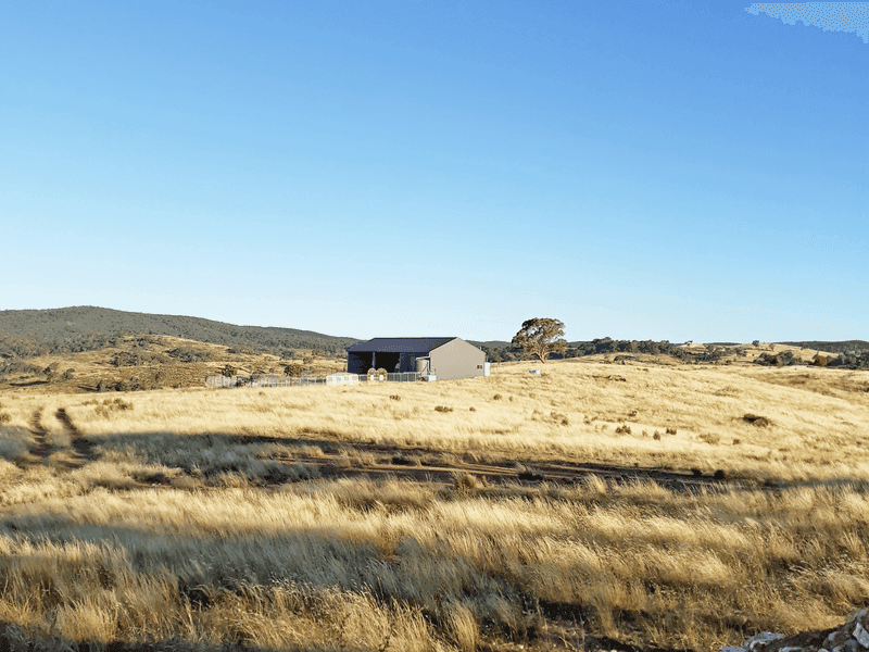 660 Kerrs Creek Road, KERRS CREEK, NSW, Kerrs Creek - Thumbnail 2