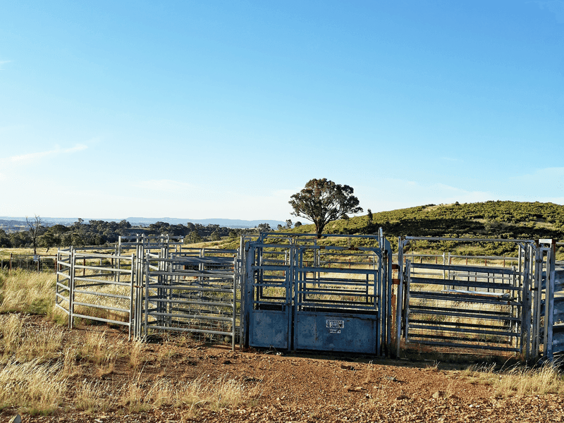 660 Kerrs Creek Road, KERRS CREEK, NSW, Kerrs Creek - Thumbnail 4