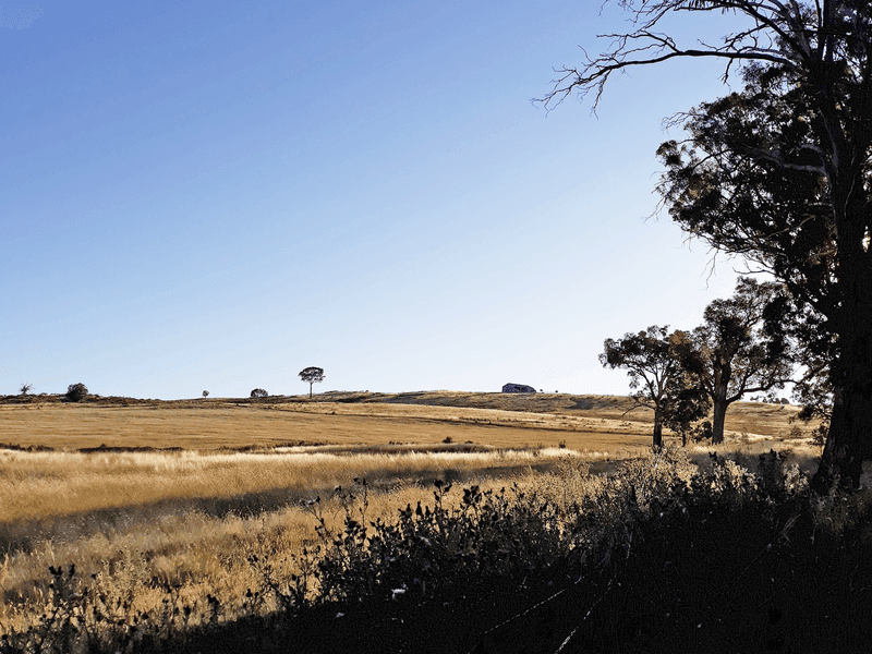 660 Kerrs Creek Road, KERRS CREEK, NSW, Kerrs Creek - Thumbnail 5