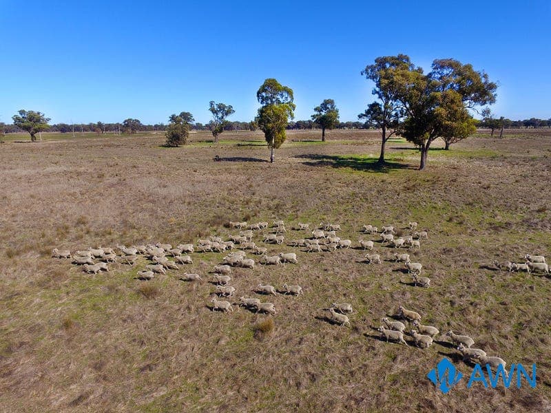 1 Stubbs Road, PRANJIP, VIC, Pranjip - Thumbnail 8