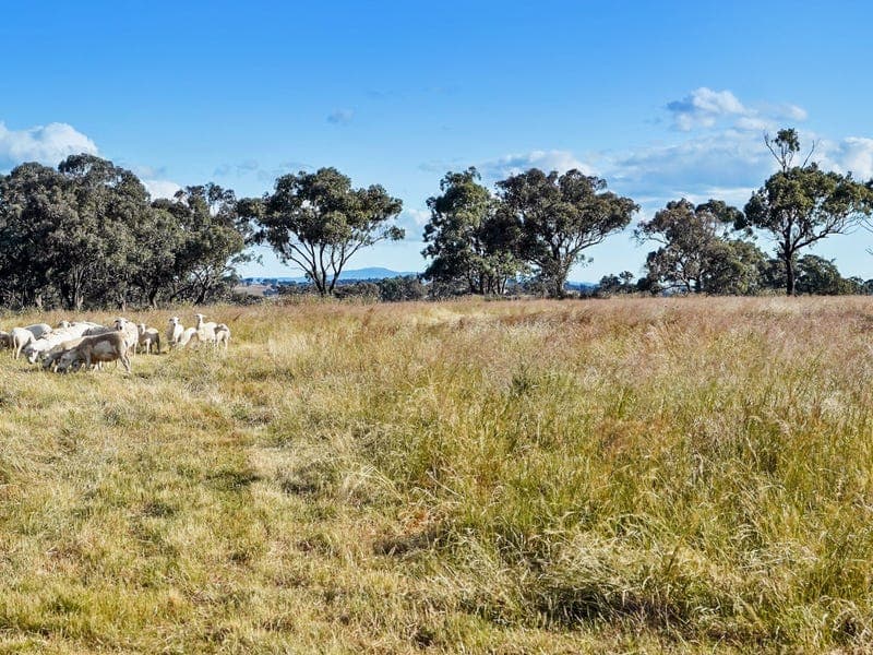 11 / Stapletons Road, MOLONG, NSW, Molong - Thumbnail 2