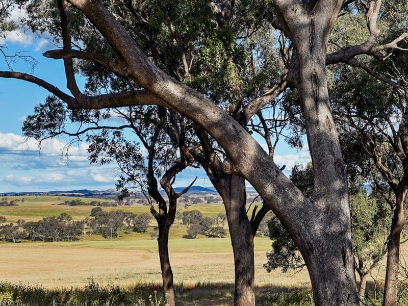 11 / Stapletons Road, MOLONG, NSW, Molong - Thumbnail 3