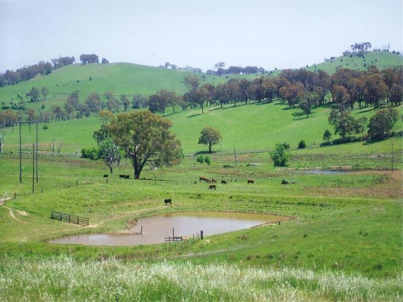 Lot 1 Icely Road, ORANGE, NSW, Orange - Image 1