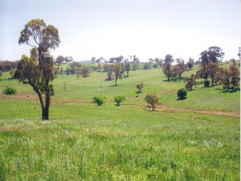Lot 2 Icely Road, ORANGE, NSW, Orange - Thumbnail 7