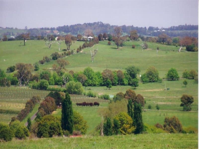 Lot 3 Icely Road, ORANGE, NSW, Orange - Thumbnail 5