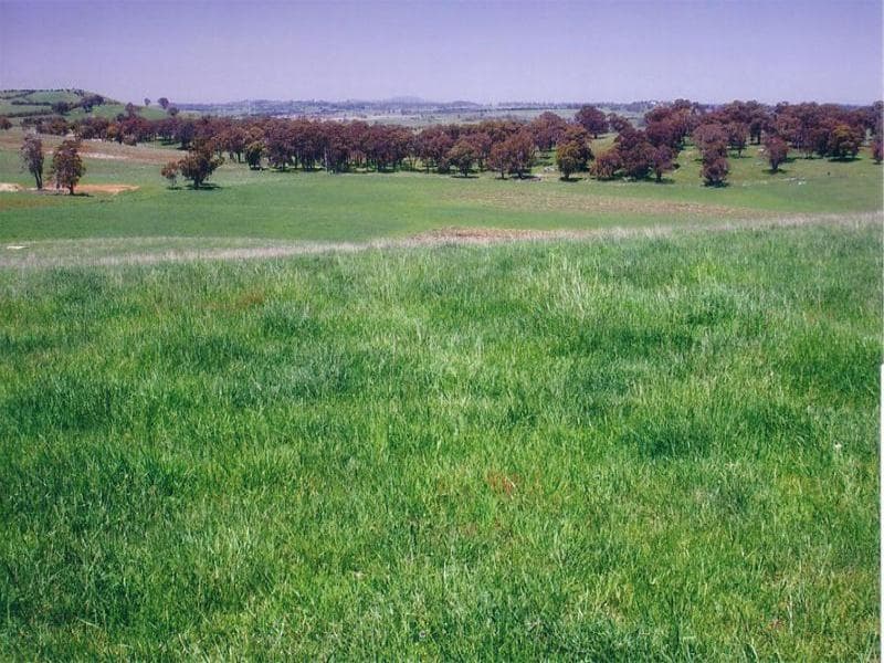 Lot 4 Icely Road, ORANGE, NSW, Orange - Thumbnail 3